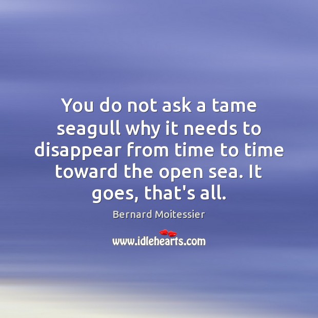 You do not ask a tame seagull why it needs to disappear Bernard Moitessier Picture Quote