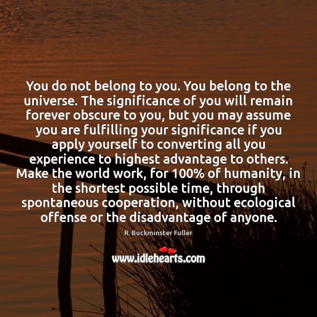 You do not belong to you. You belong to the universe. The R. Buckminster Fuller Picture Quote