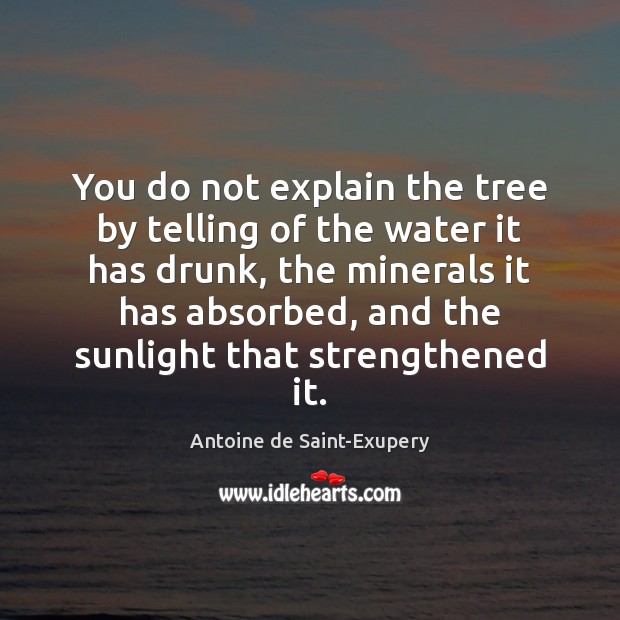 You do not explain the tree by telling of the water it Image