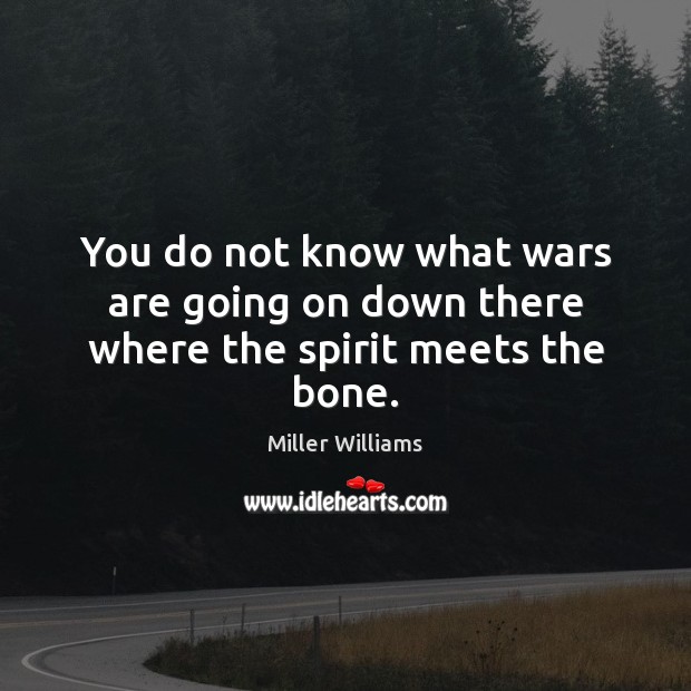 You do not know what wars are going on down there where the spirit meets the bone. Miller Williams Picture Quote