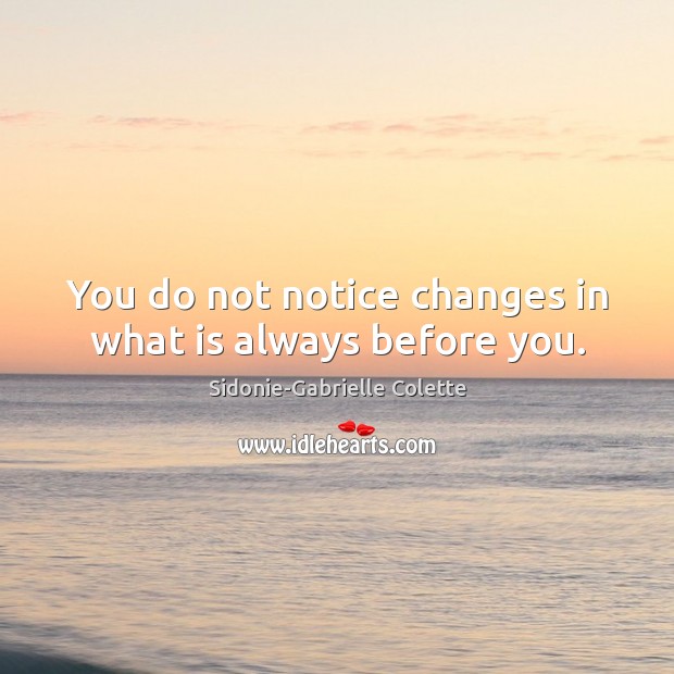 You do not notice changes in what is always before you. Sidonie-Gabrielle Colette Picture Quote