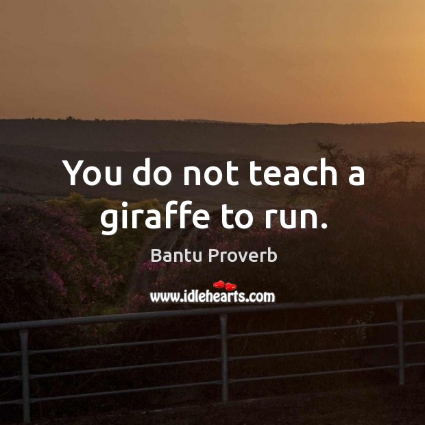 You do not teach a giraffe to run. Bantu Proverbs Image