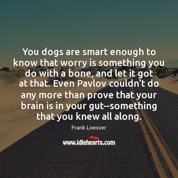 You dogs are smart enough to know that worry is something you Worry Quotes Image