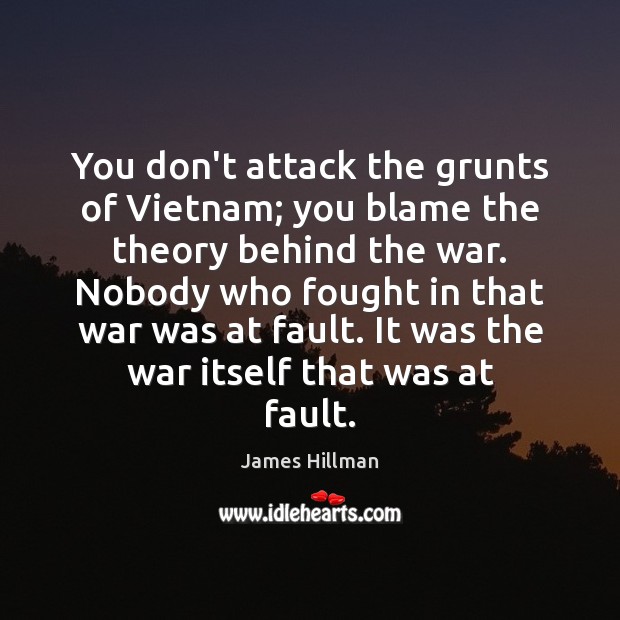 You don’t attack the grunts of Vietnam; you blame the theory behind James Hillman Picture Quote