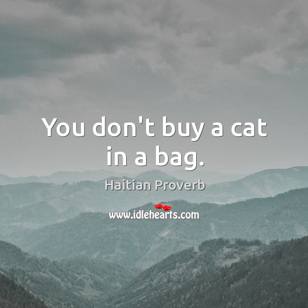You don’t buy a cat in a bag. Haitian Proverbs Image