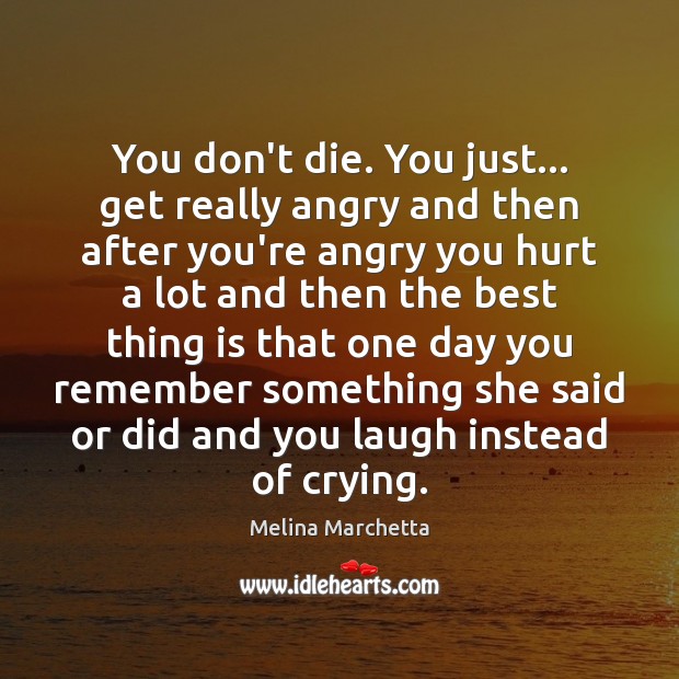 You don’t die. You just… get really angry and then after you’re Melina Marchetta Picture Quote