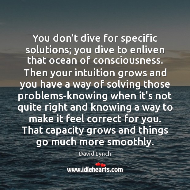 You don’t dive for specific solutions; you dive to enliven that ocean David Lynch Picture Quote
