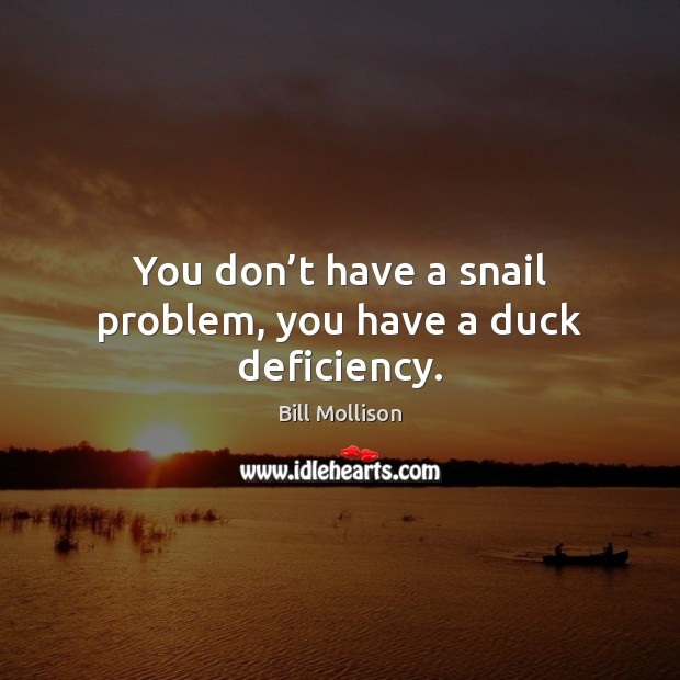You don’t have a snail problem, you have a duck deficiency. Bill Mollison Picture Quote