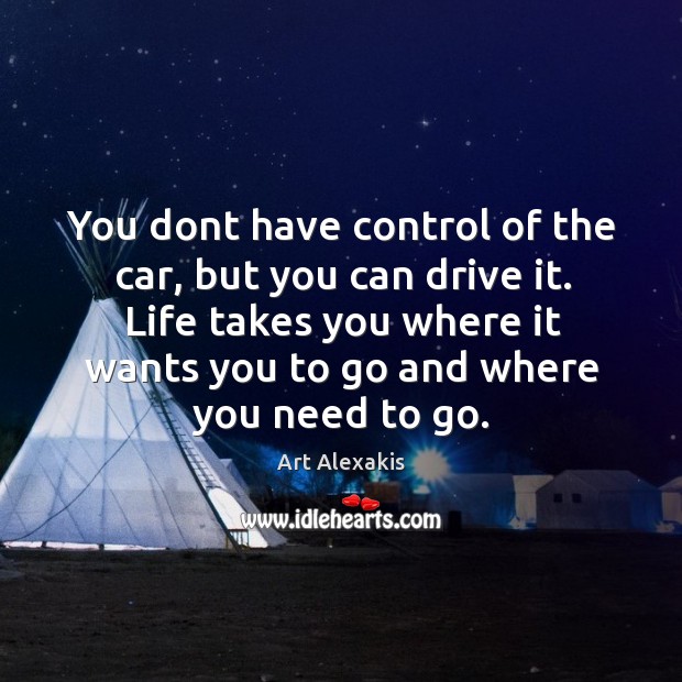 You dont have control of the car, but you can drive it. Art Alexakis Picture Quote