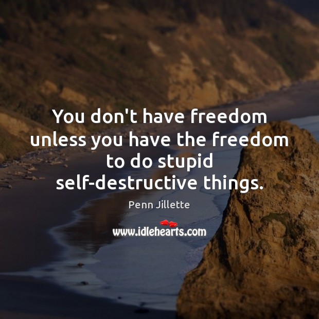 You don’t have freedom unless you have the freedom to do stupid self-destructive things. Image