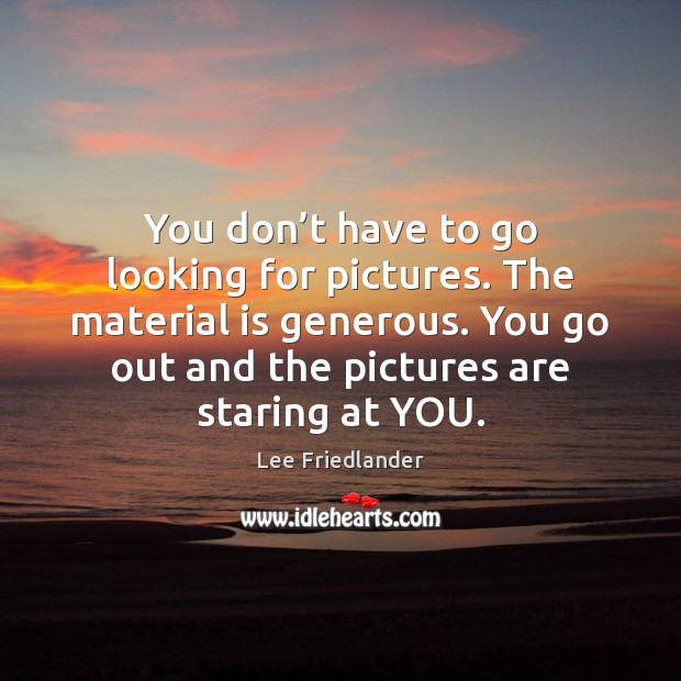 You don’t have to go looking for pictures. The material is Lee Friedlander Picture Quote