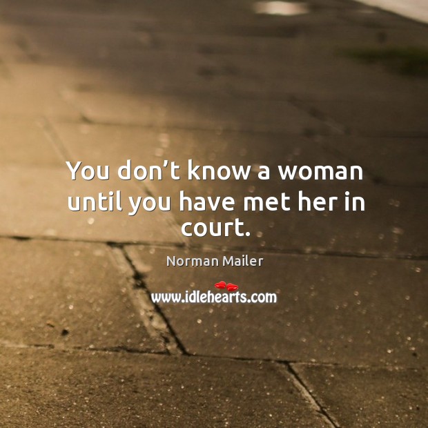 You don’t know a woman until you have met her in court. Norman Mailer Picture Quote