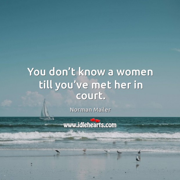 You don’t know a women till you’ve met her in court. Norman Mailer Picture Quote