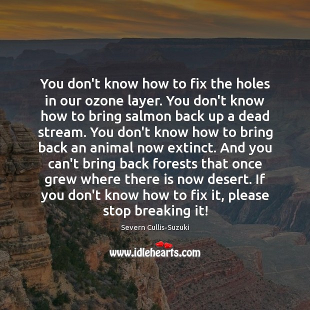 You don’t know how to fix the holes in our ozone layer. Severn Cullis-Suzuki Picture Quote