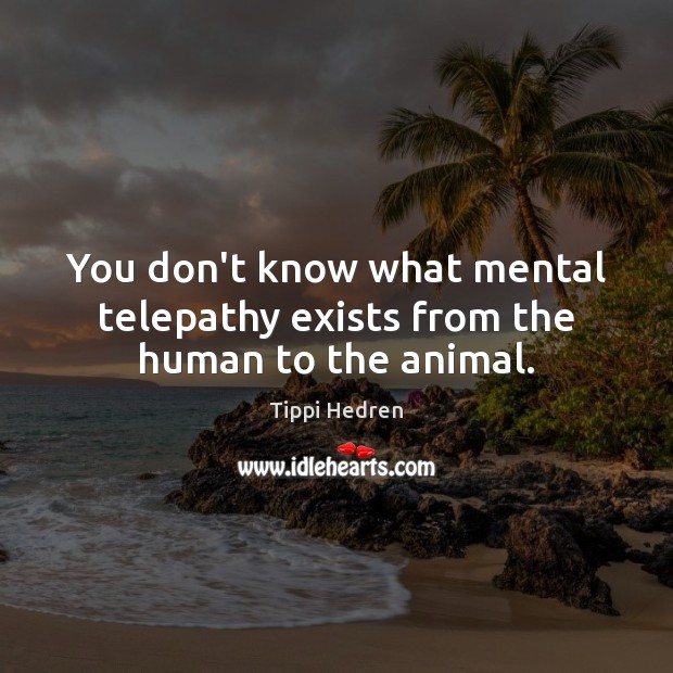 You don’t know what mental telepathy exists from the human to the animal. Tippi Hedren Picture Quote