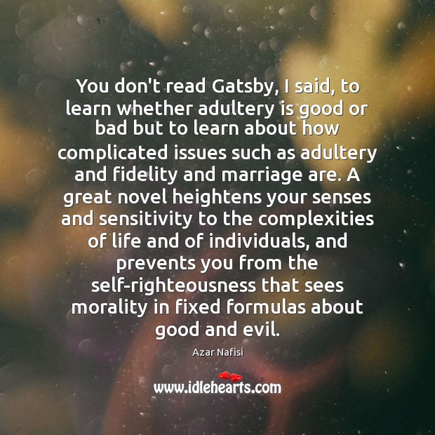 You don’t read Gatsby, I said, to learn whether adultery is good Image