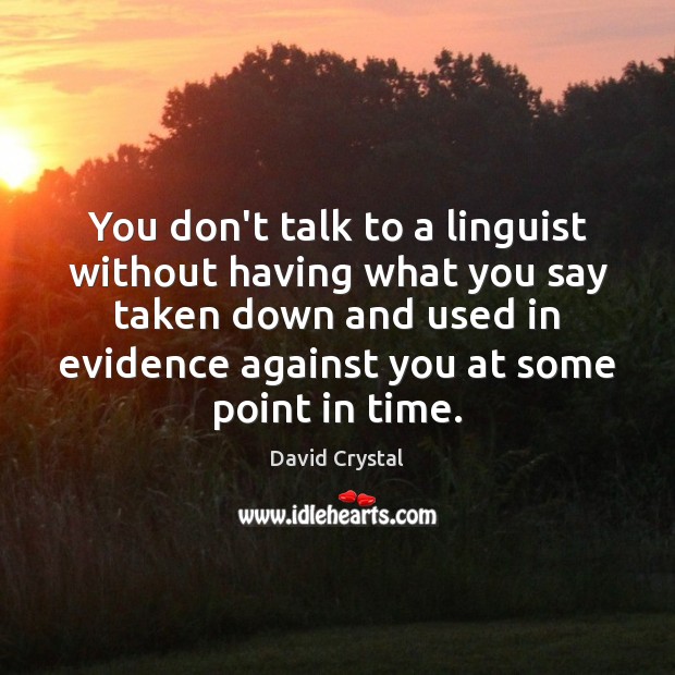 You don’t talk to a linguist without having what you say taken David Crystal Picture Quote