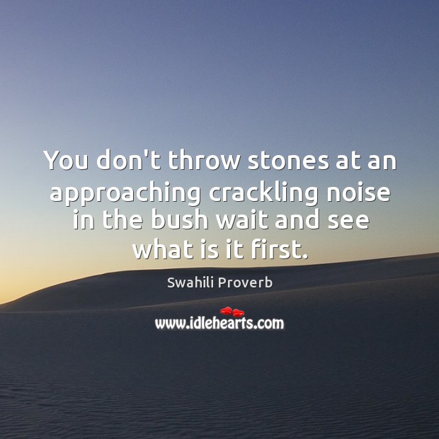 You don’t throw stones at an approaching crackling noise in the bush wait and see what is it first. Swahili Proverbs Image