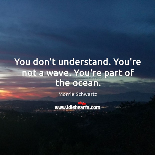 You don’t understand. You’re not a wave. You’re part of the ocean. Image