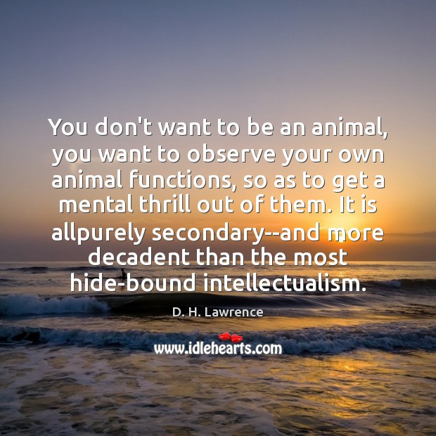 You don’t want to be an animal, you want to observe your Image