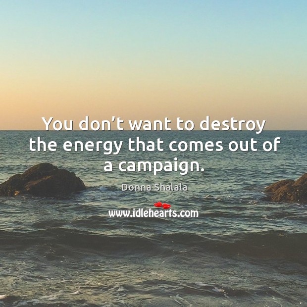 You don’t want to destroy the energy that comes out of a campaign. Donna Shalala Picture Quote