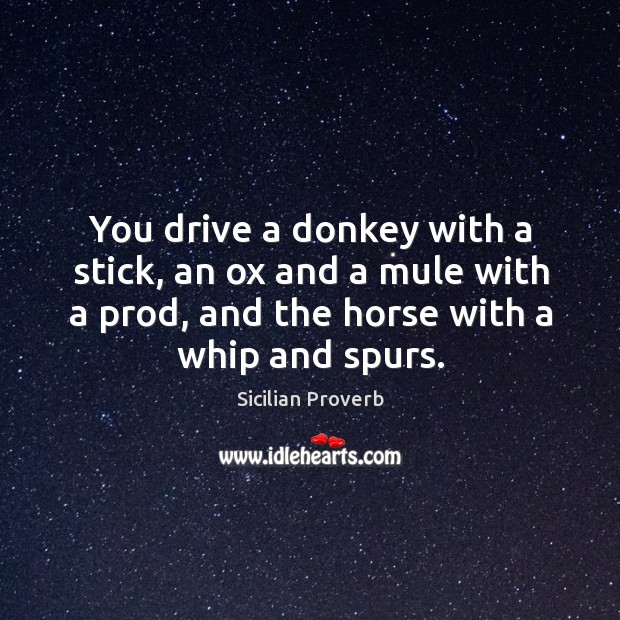 You drive a donkey with a stick, an ox and a mule with a prod. Sicilian Proverbs Image