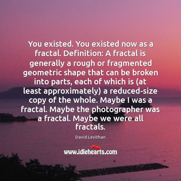 You existed. You existed now as a fractal. Definition: A fractal is David Levithan Picture Quote