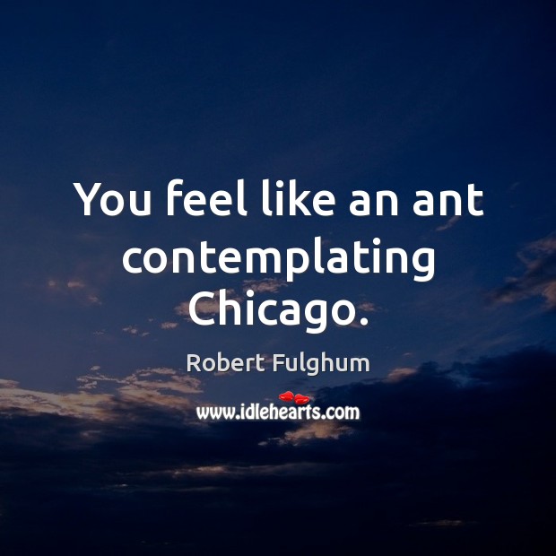 You feel like an ant contemplating Chicago. Image