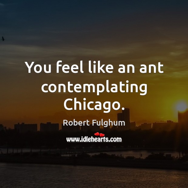 You feel like an ant contemplating Chicago. Robert Fulghum Picture Quote