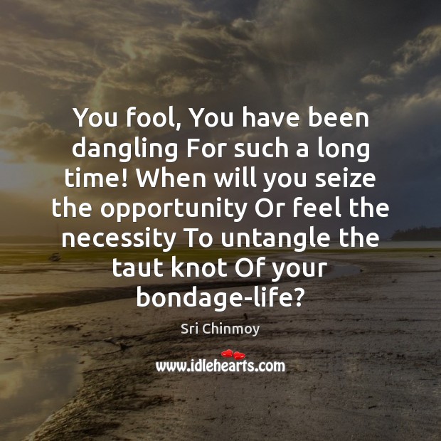 You fool, You have been dangling For such a long time! When Fools Quotes Image
