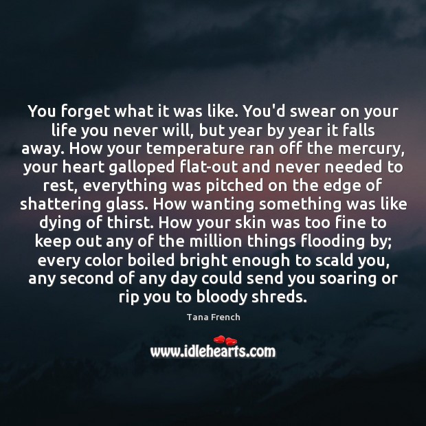 You forget what it was like. You’d swear on your life you Tana French Picture Quote