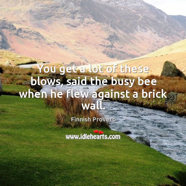 You get a lot of these blows, said the busy bee when he flew against a brick wall. Finnish Proverbs Image