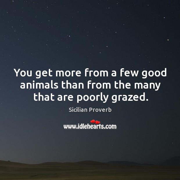 You get more from a few good animals than from the many that are poorly grazed. Sicilian Proverbs Image