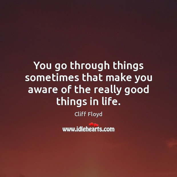 You go through things sometimes that make you aware of the really good things in life. Cliff Floyd Picture Quote