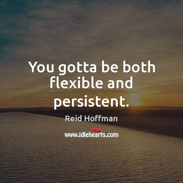 You gotta be both flexible and persistent. Reid Hoffman Picture Quote