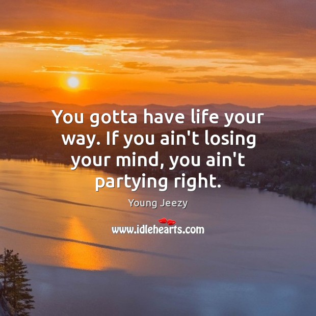 You gotta have life your way. If you ain’t losing your mind, you ain’t partying right. Young Jeezy Picture Quote