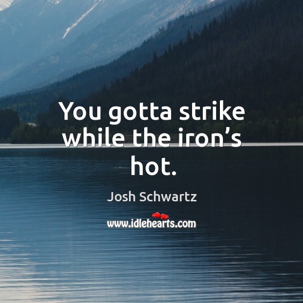 You gotta strike while the iron’s hot. Josh Schwartz Picture Quote