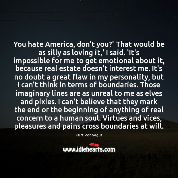 You hate America, don’t you?’ That would be as silly as Image