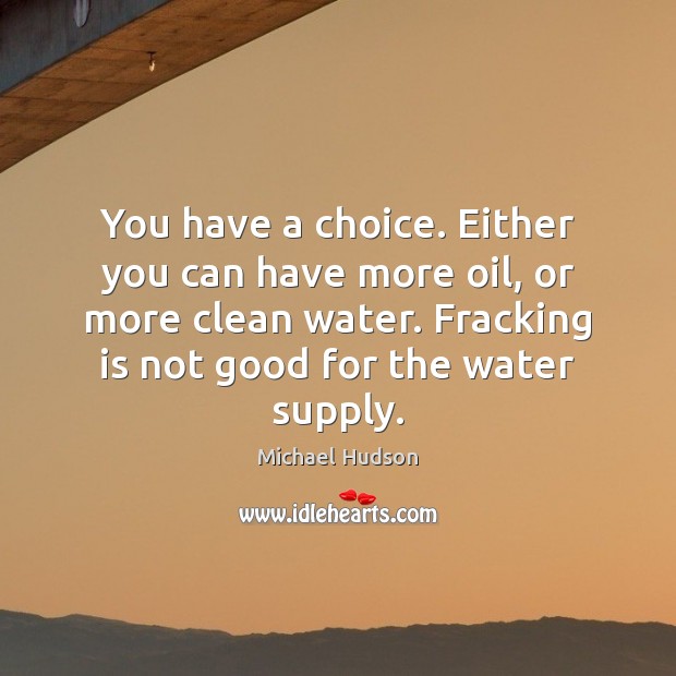 You have a choice. Either you can have more oil, or more Michael Hudson Picture Quote