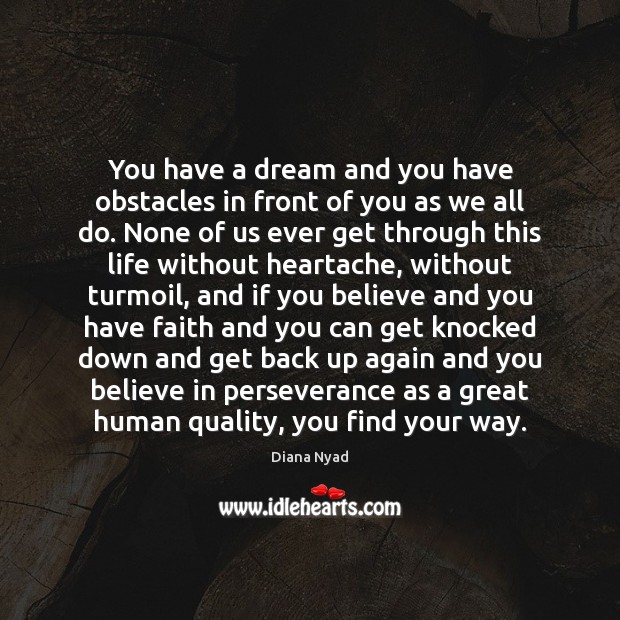 You have a dream and you have obstacles in front of you Diana Nyad Picture Quote