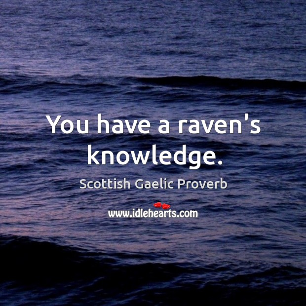 You have a raven’s knowledge. Scottish Gaelic Proverbs Image