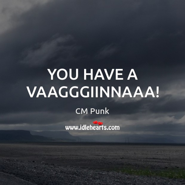 YOU HAVE A VAAGGGIINNAAA! CM Punk Picture Quote
