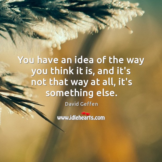 You have an idea of the way you think it is, and David Geffen Picture Quote