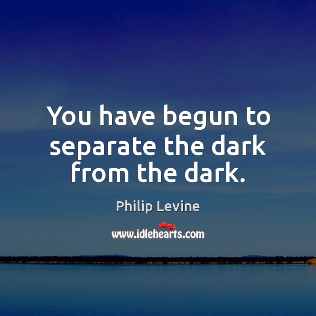 You have begun to separate the dark from the dark. Philip Levine Picture Quote