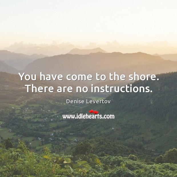 You have come to the shore. There are no instructions. Image