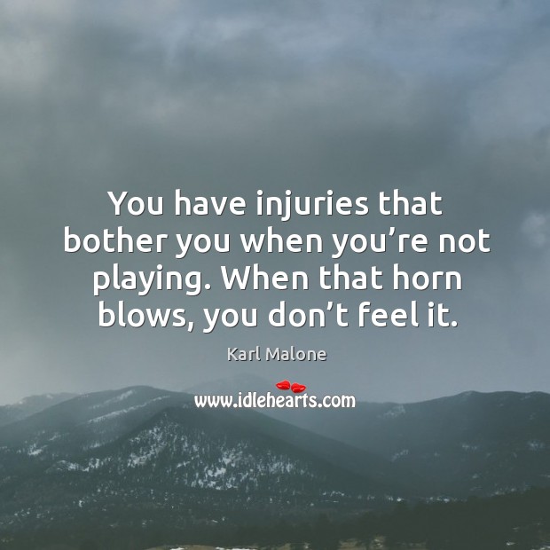 You have injuries that bother you when you’re not playing. When that horn blows, you don’t feel it. Karl Malone Picture Quote