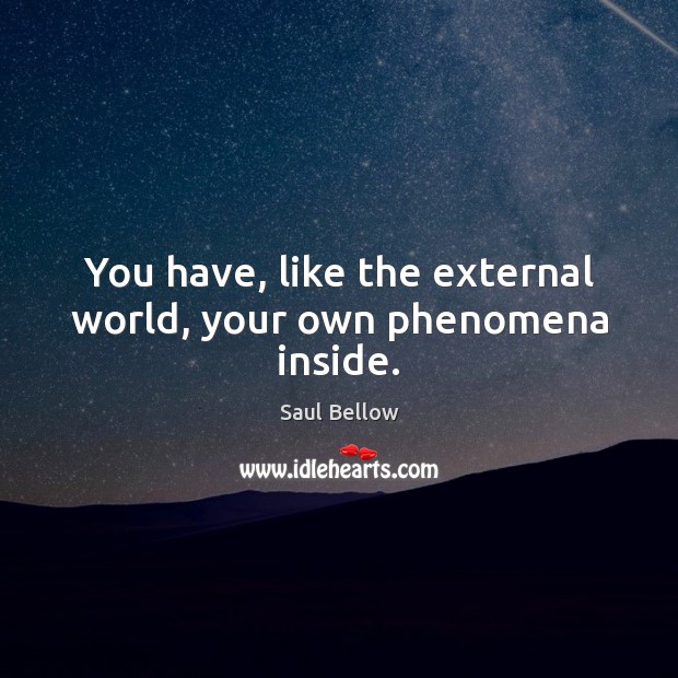 You have, like the external world, your own phenomena inside. Saul Bellow Picture Quote