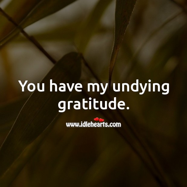 You have my undying gratitude. Image