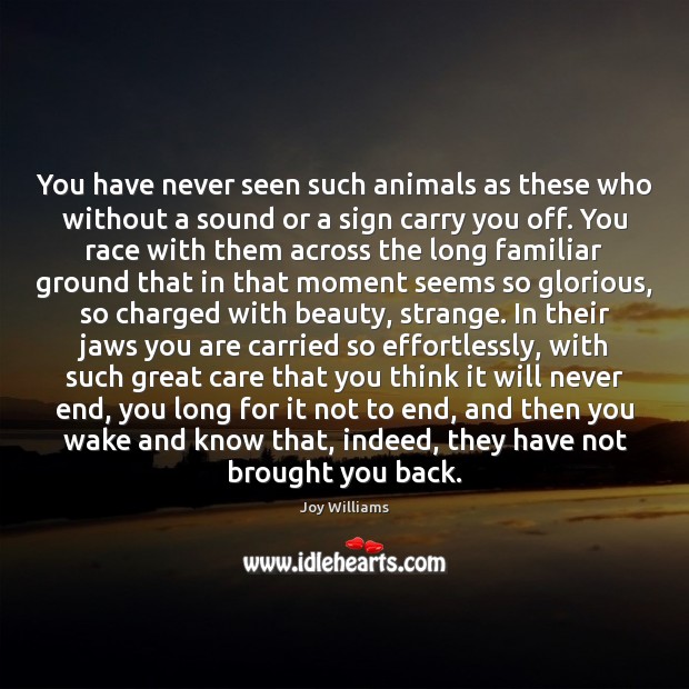 You have never seen such animals as these who without a sound Joy Williams Picture Quote