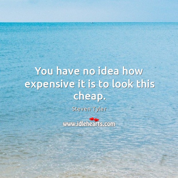 You have no idea how expensive it is to look this cheap. Steven Tyler Picture Quote